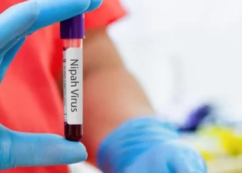 Nipah: vírus causa preocupação na Ásia e deixa aeroportos em alerta