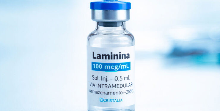 Polilaminina poderá ser oferecida gratuitamente pelo SUS após aprovação regulatória