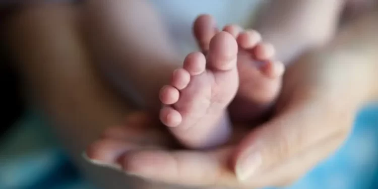 Anvisa aprova novo medicamento para tratar fenilcetonúria