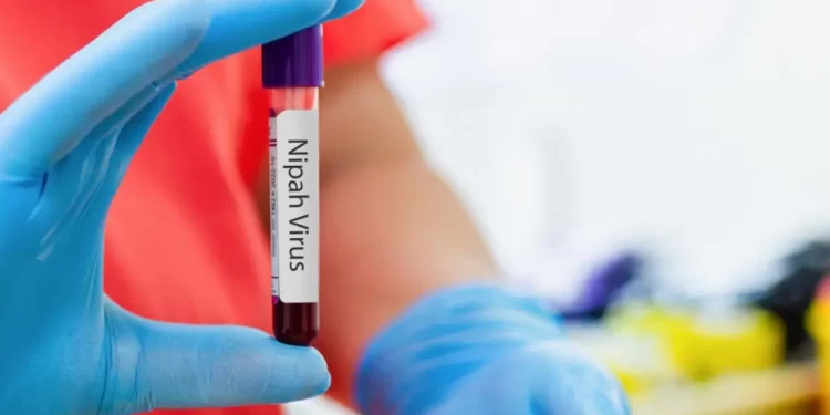 Vírus Nipah: há risco de surto no Carnaval?