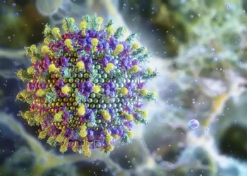 Ministério da Saúde diz que vírus Nipah não ameaça o Brasil