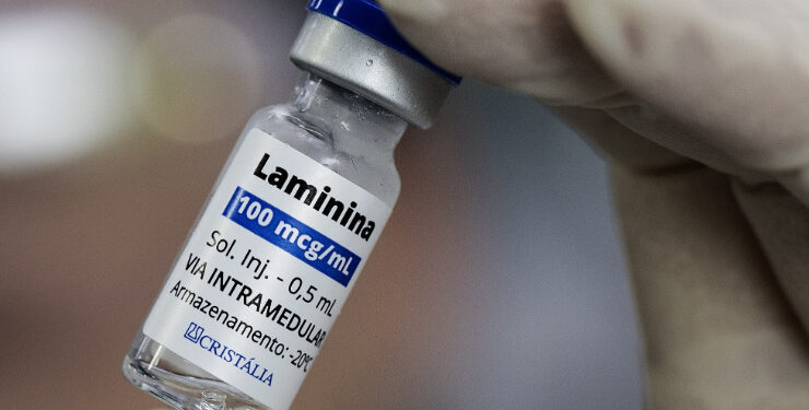 Proteína experimental para lesão medular avança para testes em humanos no Brasil
