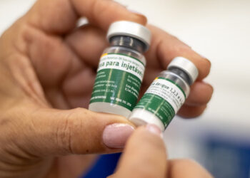 Instituto Butantan divulga que dose única de vacina contra dengue protege por pelo menos cinco anos