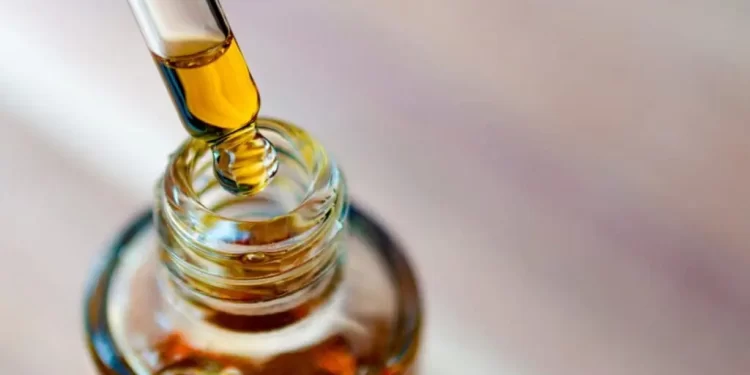 Canabidiol: especialista esclarece 12 dúvidas frequentes