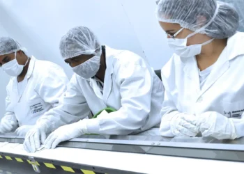 Fiocruz abre seleção de estágio com vagas para estudantes de Farmácia