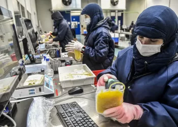 Dia Mundial da Hemofilia: campanha reforça importância do diagnóstico