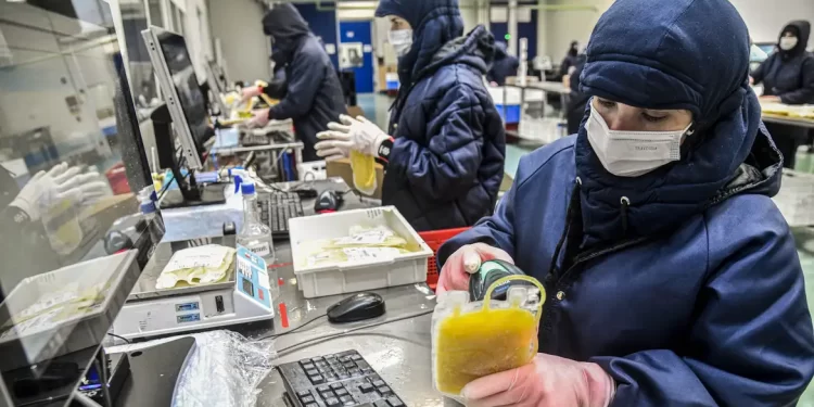 Dia Mundial da Hemofilia: campanha reforça importância do diagnóstico