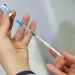 Vacina da gripe não aumenta risco da doença, alerta ministério