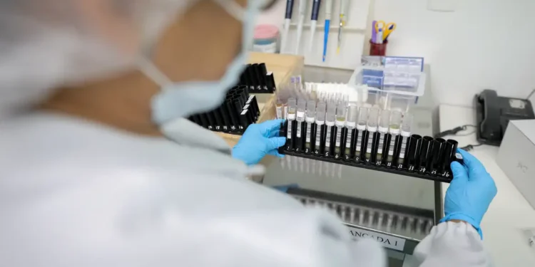 Fiocruz obtém patente para tratamento contra malária resistente