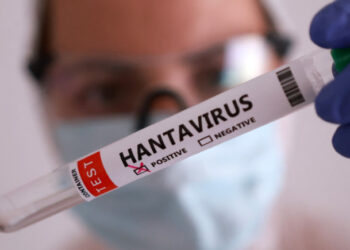 Surto de Hantavírus no navio não representa risco para o Brasil