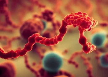 OMS declara emergência global por surto de ebola; o que isso significa?
