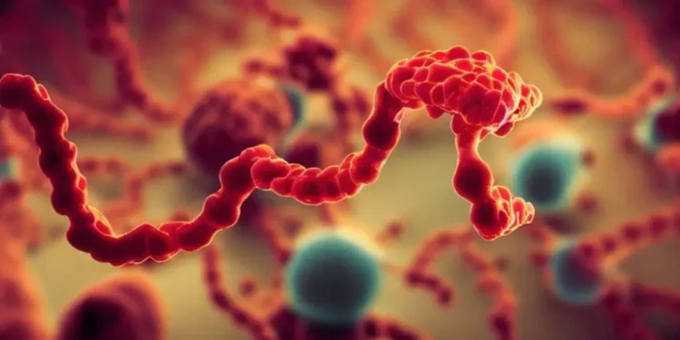 OMS declara emergência global por surto de ebola; o que isso significa?