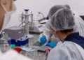 7 em 10 medicamentos e cosméticos nunca chegam ao mercado