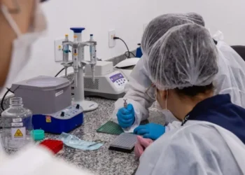 7 em 10 medicamentos e cosméticos nunca chegam ao mercado