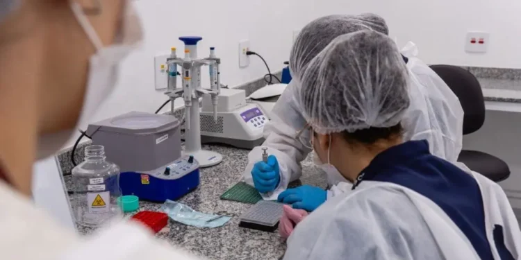 7 em 10 medicamentos e cosméticos nunca chegam ao mercado