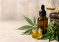 O que a ciência já sabe sobre a Cannabis medicinal em 2026