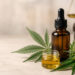 O que a ciência já sabe sobre a Cannabis medicinal em 2026