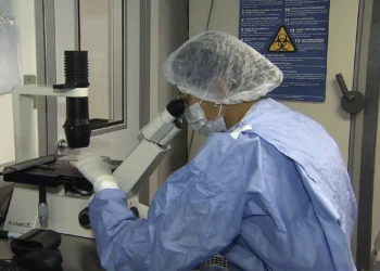 Saiba como cientistas “curaram” pacientes infectados com HIV