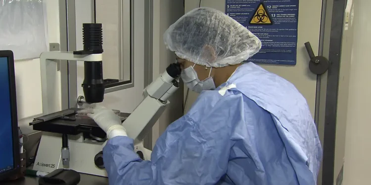 Saiba como cientistas “curaram” pacientes infectados com HIV