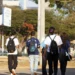 Brasileiros se sentem mais saudáveis do que são, diz pesquisa