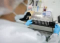 Malária: Anvisa autoriza teste em humanos de vacina 100% brasileira