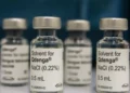 Dengue: 3 milhões de adolescentes estão com vacinação incompleta